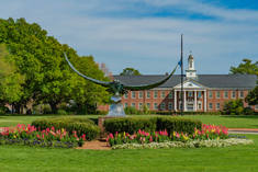 Hoggard Lawn with Seahawk Statue