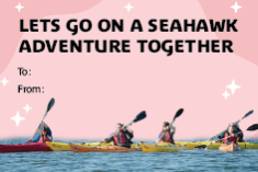 Lets go on a seahawk adventure together