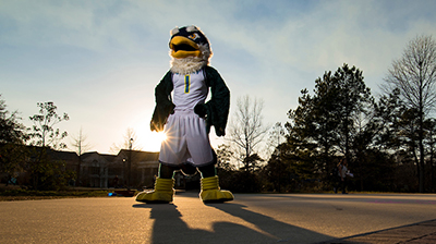 Sammy C. Hawk standing on campus with sun behind