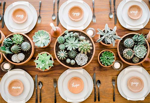 Some arrangements made by Coastal Succulent