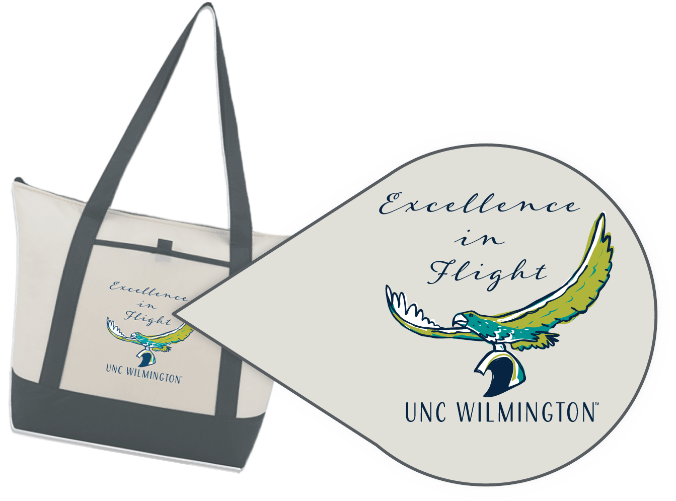 Excellence in Flight UNC Wilmington