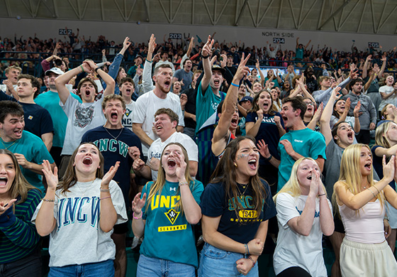 Seahawk fans cheering