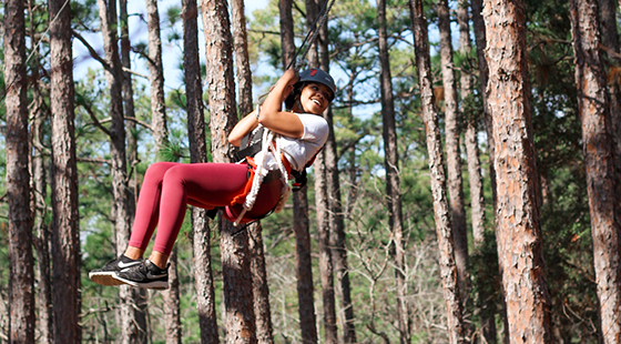 Seahawk on ropes course