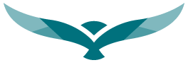 Seahawk icon