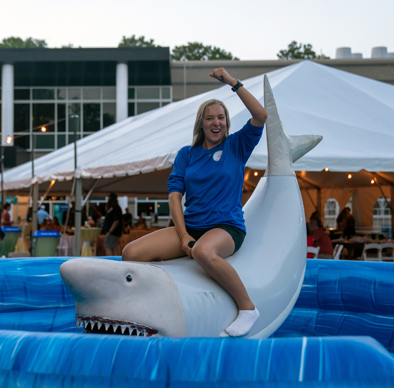 Alum riding mechanical shark